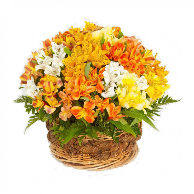 Лучик солнца Лучик солнца